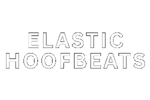 TAXI Featured Member: Elastic Hoofbeats