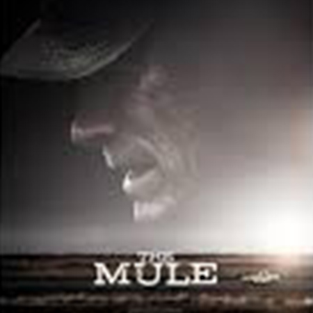 Mule